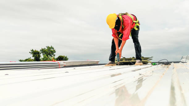 Best Asphalt Shingle Roofing  in Macedonia, OH